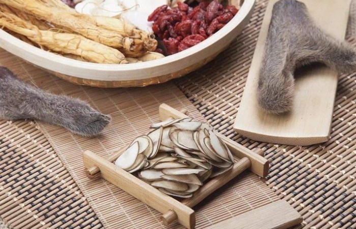鹿茸價格