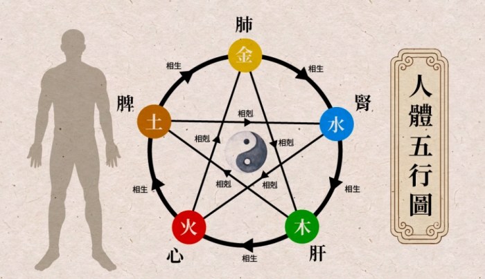 脾胃不好的原因 脾胃不好的原因