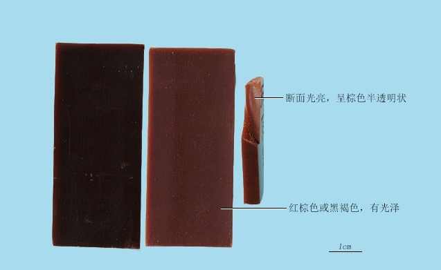 阿膠是什麼做的 阿膠是什麼做的
