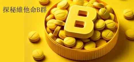 b群功效