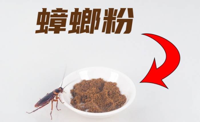 蟑螂粉中藥功效 蟑螂粉中藥功效