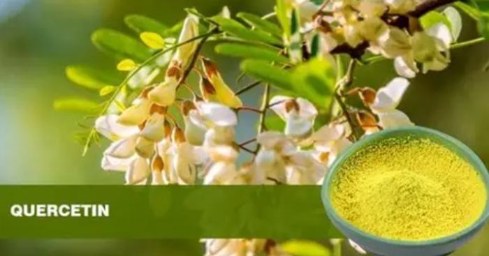 槲皮素好處 槲皮素好處