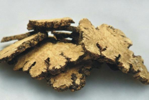 川芎用法 川芎用法