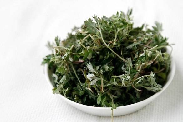 艾草功效 艾草功效