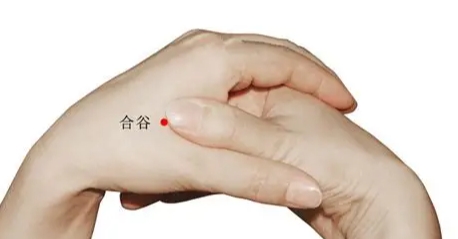 合谷穴位置 合谷穴位置