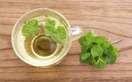 減肥茶配方 減肥茶配方