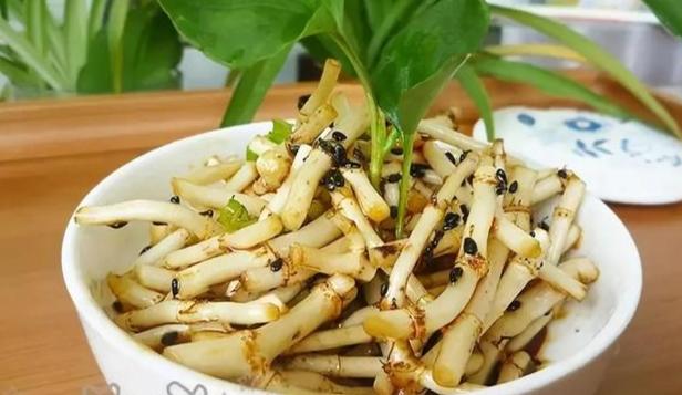 魚腥草功效 魚腥草功效