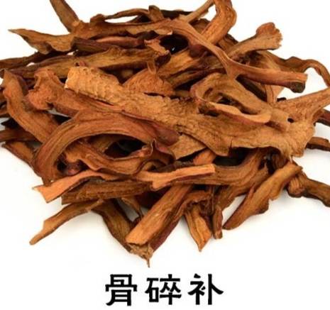 骨折中藥治療 骨折中藥治療