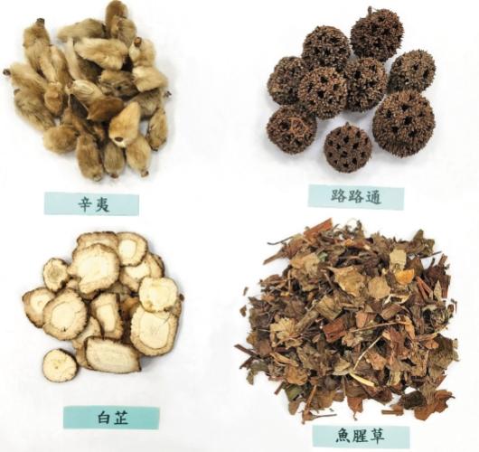 鼻涕倒流中醫治療 鼻涕倒流中醫治療