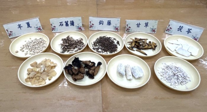 中藥神經修復 中藥神經修復