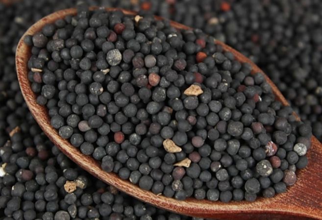 薑黃粉好處 薑黃粉好處