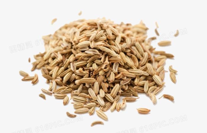 小茴香功效 小茴香功效