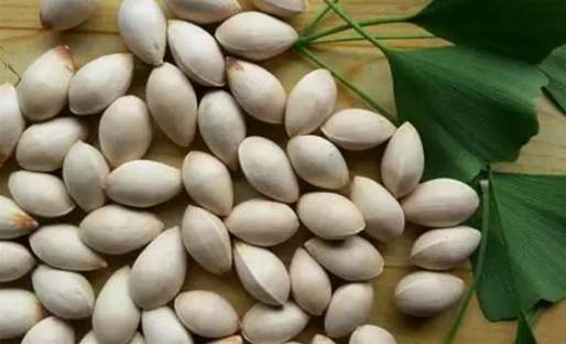 白果芯食用安全 白果芯食用安全