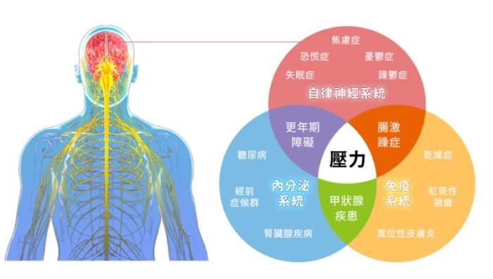中醫治療自律神經失調 中醫治療自律神經失調
