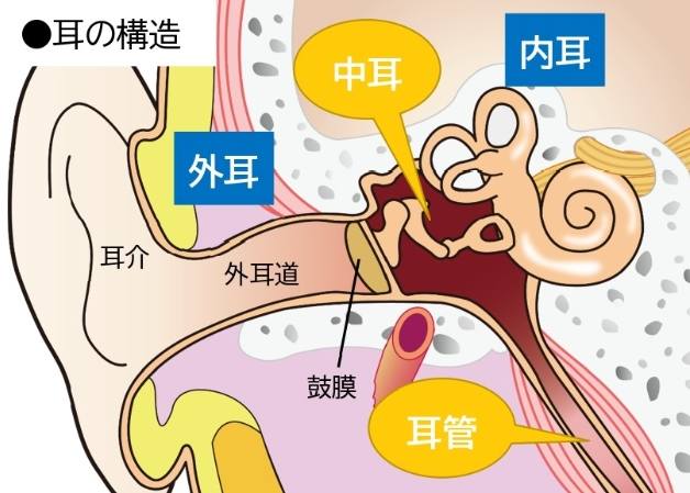 成人中耳炎成因 成人中耳炎成因