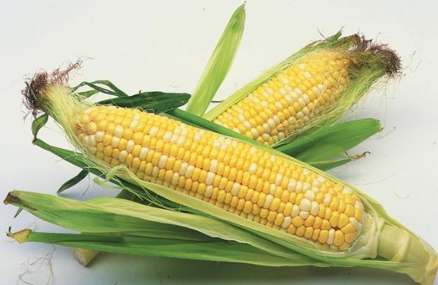 甜玉米好處 甜玉米好處