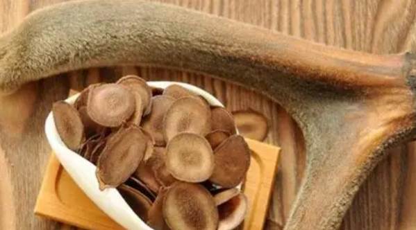 鹿茸萃取物功效 鹿茸萃取物功效