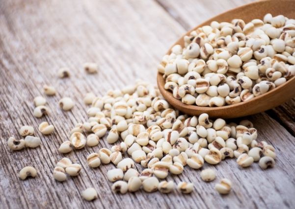 薏仁好處 薏仁好處