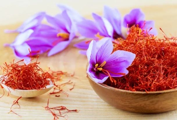 紅花活血 紅花活血