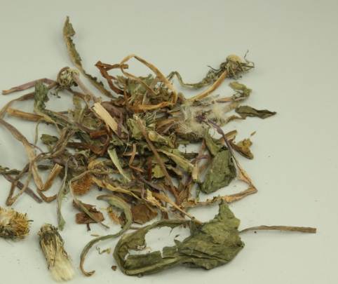 蒲公英功效 蒲公英功效