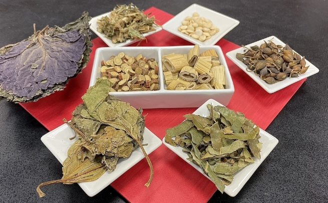 腸病毒中醫療法 腸病毒中醫療法