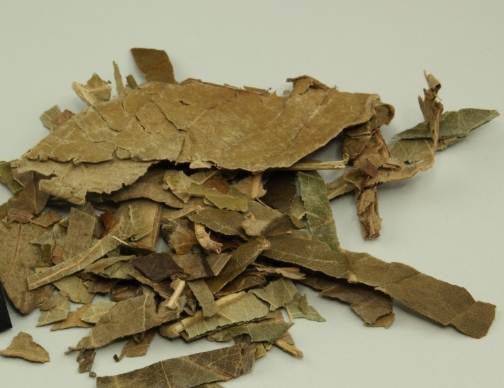 枇杷葉使用方法 枇杷葉使用方法