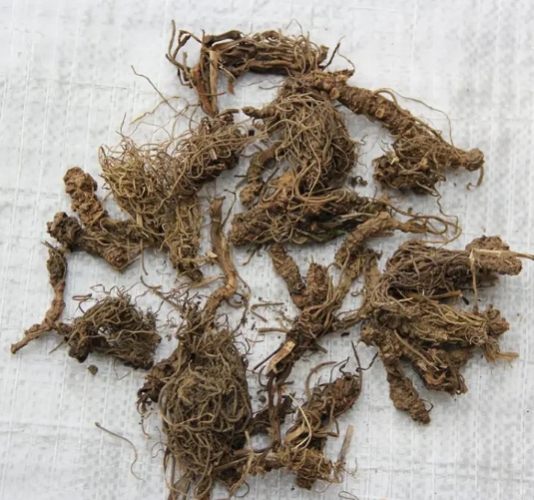 纈草功效 纈草功效