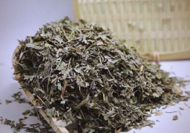 鳳尾草中藥功效 鳳尾草中藥功效