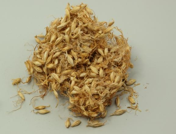 麥芽好處 麥芽好處