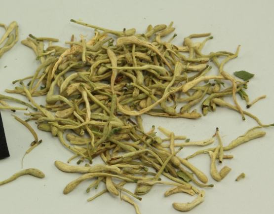 金銀花功效 金銀花功效