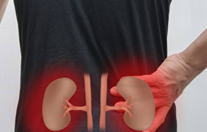 腎臟不好中藥 腎臟不好中藥
