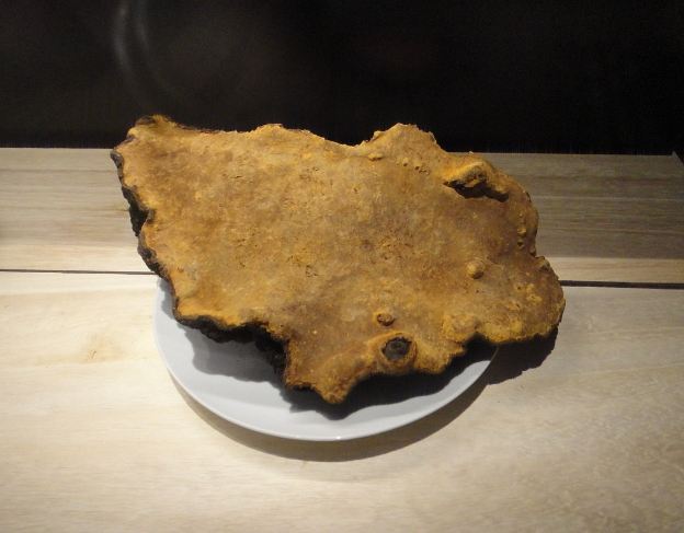 桑黃好處 桑黃好處