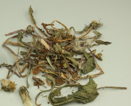 蒲公英叶子功效 蒲公英叶子功效