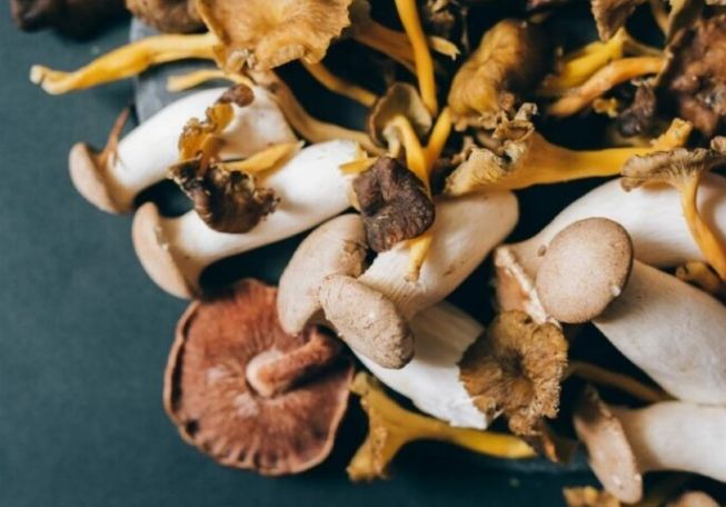 多醣體好處 多醣體好處