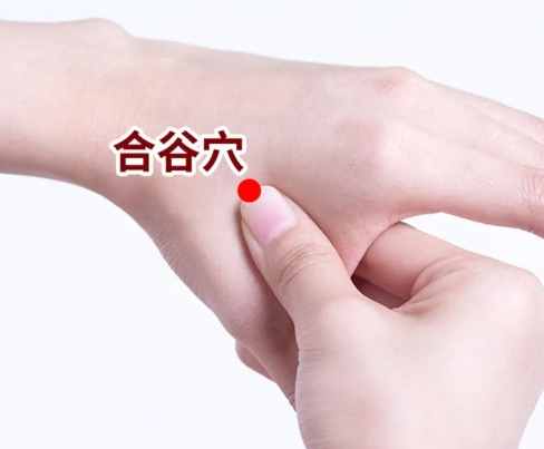 降血壓穴位按摩 降血壓穴位按摩