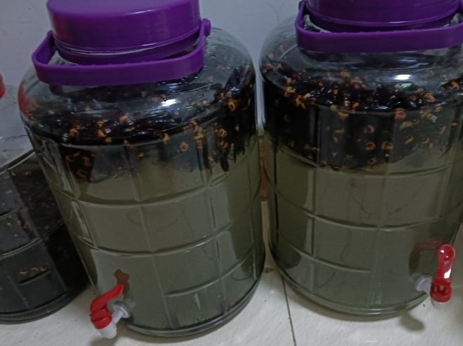 熟地泡酒做法 熟地泡酒做法