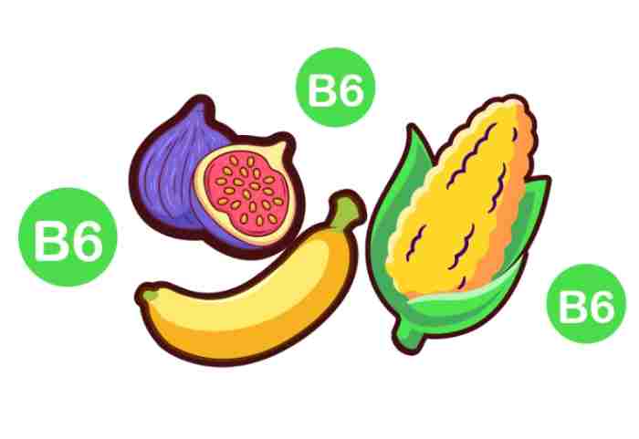 b6維生素好處