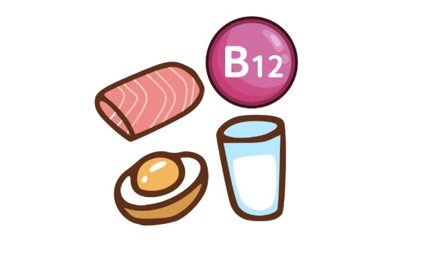 維生素B12功效 維生素B12功效