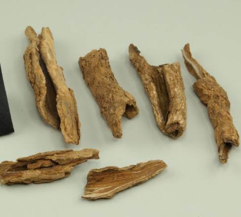 地骨皮使用方法 地骨皮使用方法