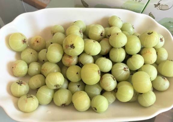 油柑好處