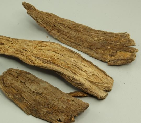 杜仲續斷牛膝功效 杜仲續斷牛膝功效
