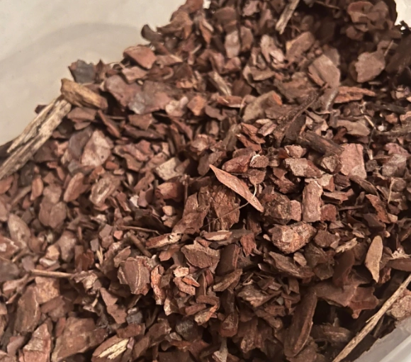 松樹皮提取物安全