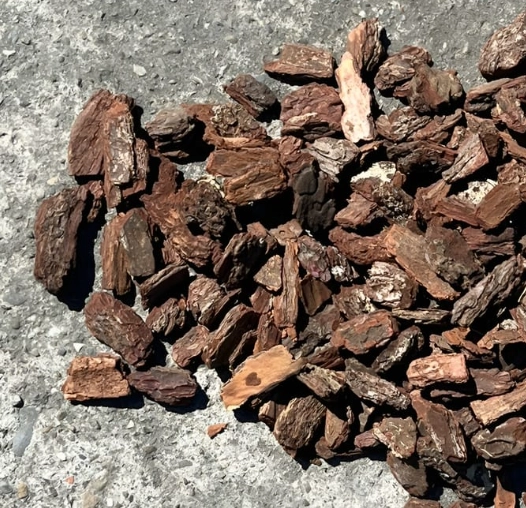 松樹皮萃取物