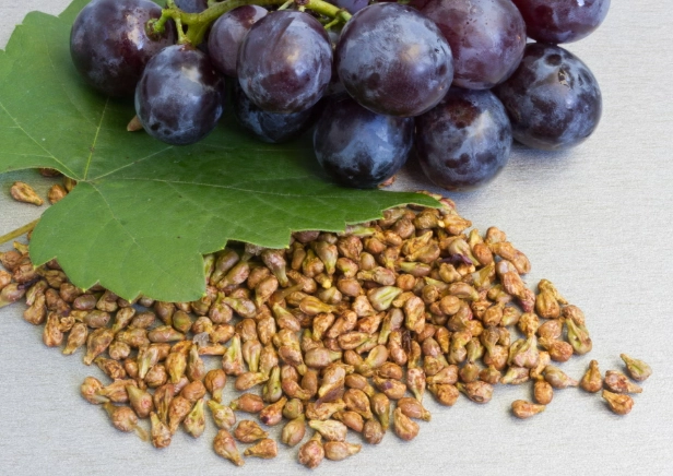 葡萄籽好處 葡萄籽好處