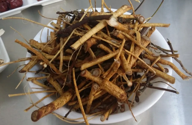 九尾草好處 九尾草好處