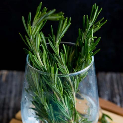 迷迭香好處 迷迭香好處