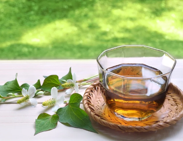 魚腥草茶每天喝 魚腥草茶每天喝