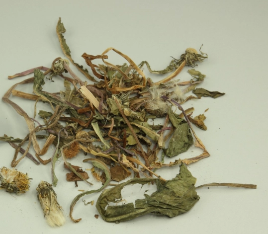 蒲公英健康益處 蒲公英健康益處