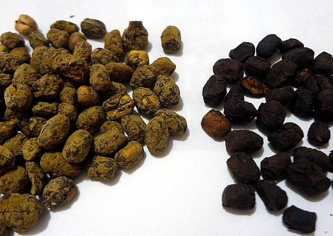綠豆篁好處 綠豆篁好處