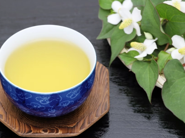 魚腥草茶好處 魚腥草茶好處